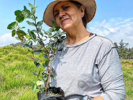 DESDE COLOMBIA, Mosquera, Cundinamarca