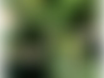 Desde San Roque, Antioquia - Colombia