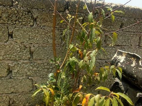 Desde Atizapán de Zaragoza -México