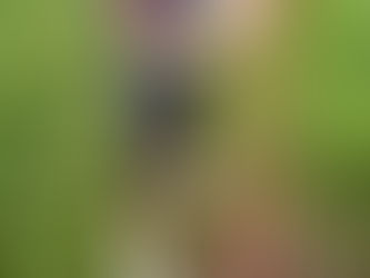 DESDE VENEZUELA, San Juan de Colón - Estado Tachira