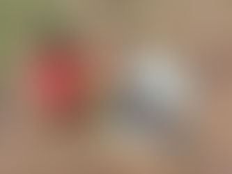 DESDE COLOMBIA, Cauca, Tierradentro