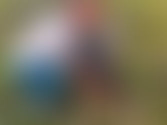 DESDE VENEZUELA, ESTADO TÁCHIRA, MUNICIPIO: FERNANDEZ FEO