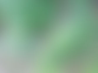 DESDE COLOMBIA, Pueblo Rico, Risaralda.