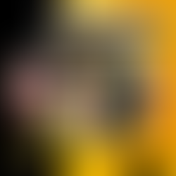 Tips para que tu mascota viaje de forma segura