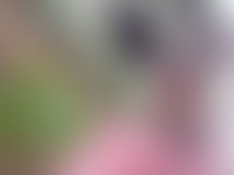 DESDE VENEZUELA, MUNICIPIO DE MÉRIDA