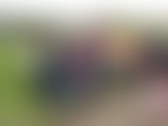 DESDE VENEZUELA, Municipio GUANARE