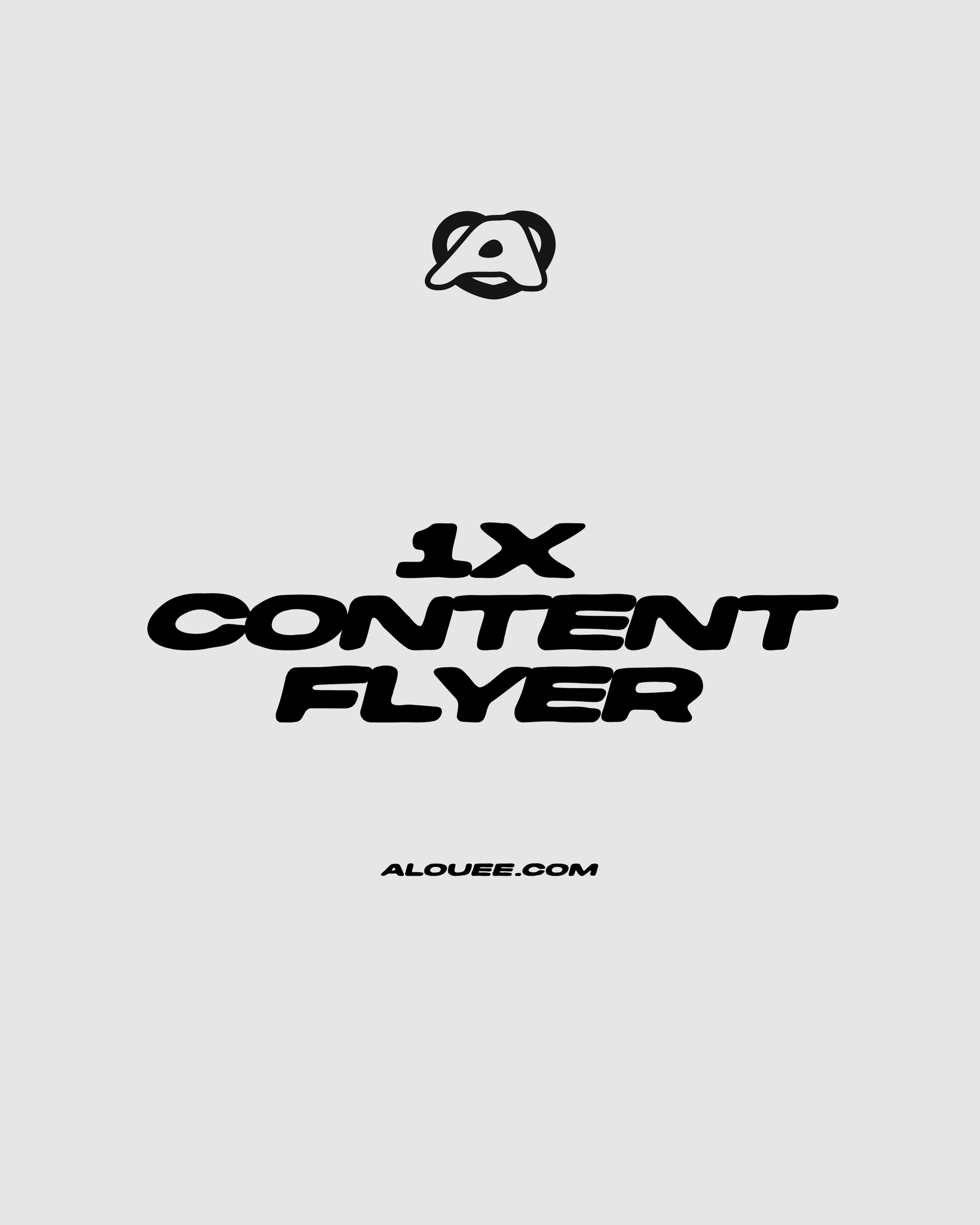 1X CONTENT FLYER