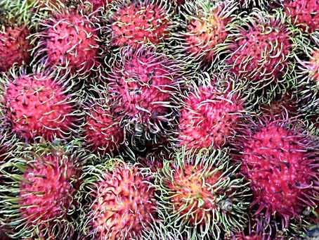 Organic Rambutan...what is it?