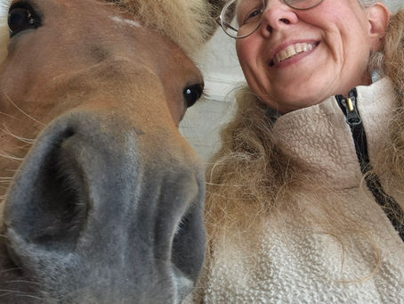 Bor du i Dalarna? Då har du möjlighet att boka privatlektion hemma hos dig!