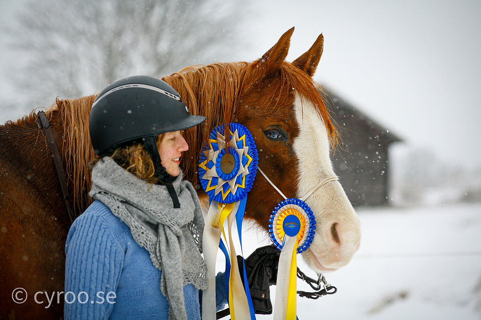 Utbildnings- och läkningscentret Svenska Hästakademin.