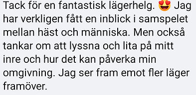 Kunders omdöme beridet bågskytte