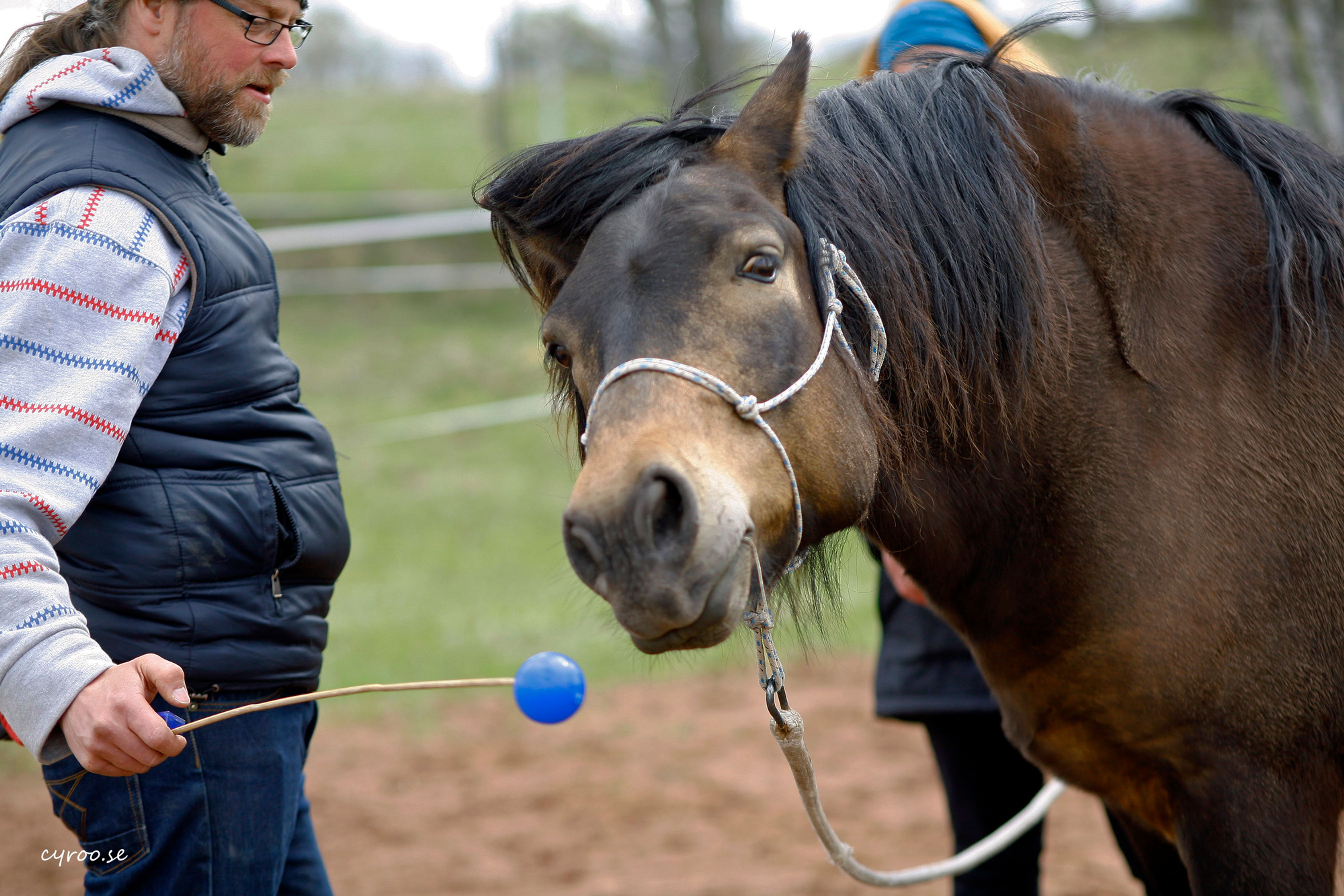 Digital Coachning, 60 min