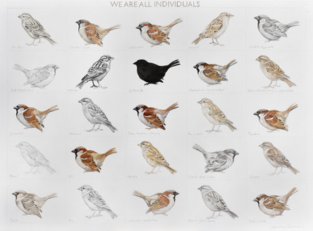 WE ARE ALL INDIVIDUALS