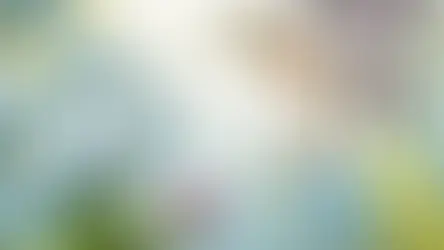 מקהלת הקלרינטים קונצקט ניגודים