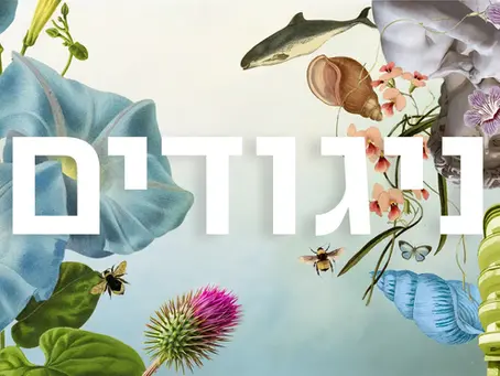 מקהלת הקלרינטים קונצקט ניגודים