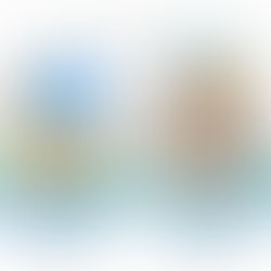 The difference between domain and hosting