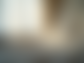 Top Benefits of Using Mosquito Nets for Protection