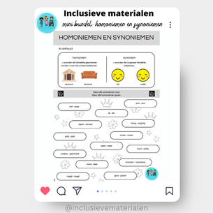 Mini bundel: homoniemen en synoniemen