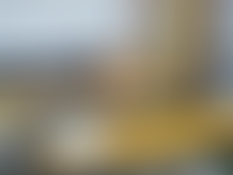 やっと白板が届きました!