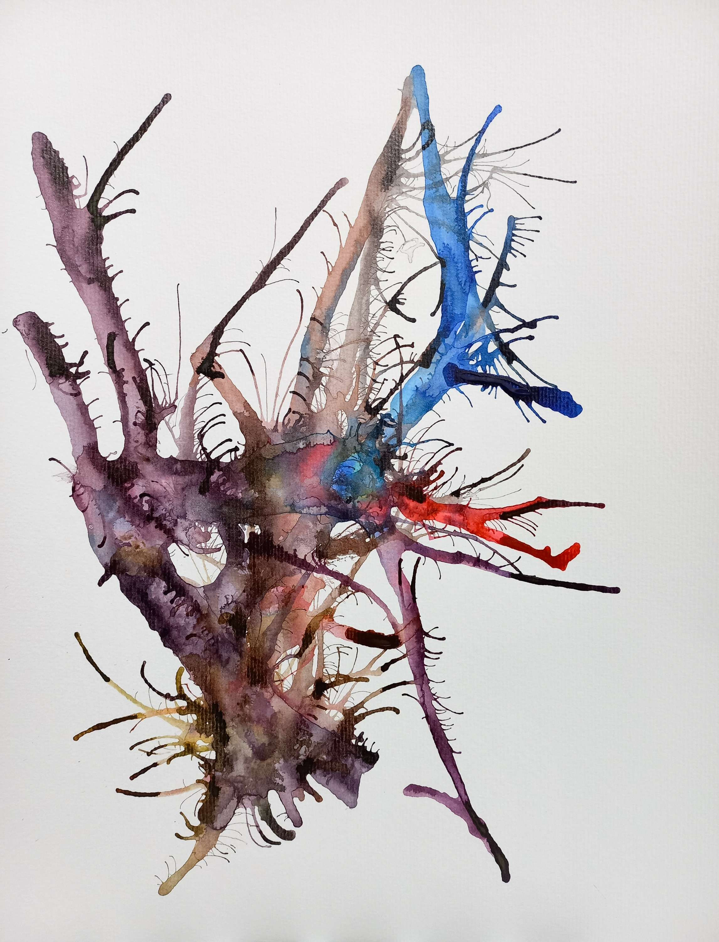 Pneumática Impressões de Inverno, 2023