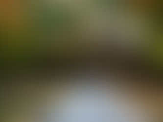 U.S. News 2025년 최고 대학 순위