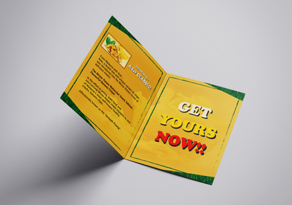 Brochure_LR_MOCKUP.png