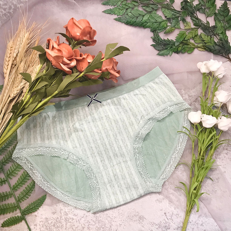 縮圖：親膚蠶絲蛋白抗菌內褲 Hipsters Panty