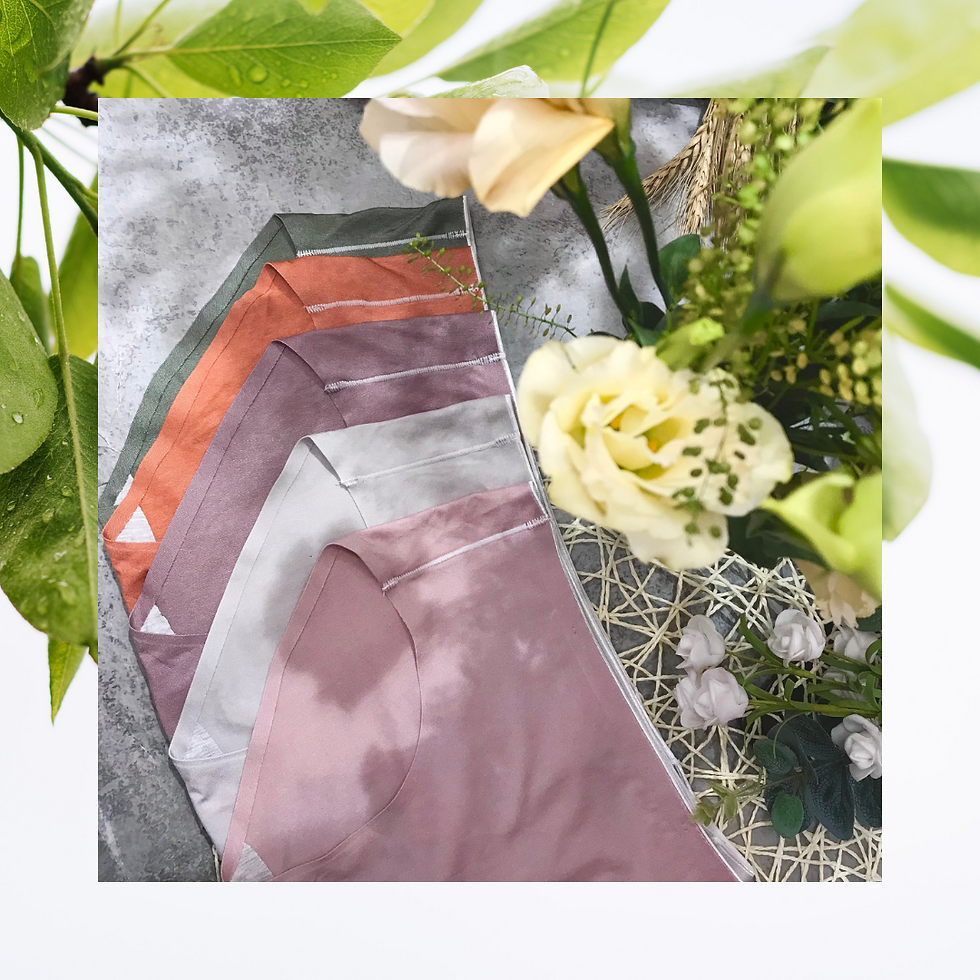 縮圖：中腰大地色Modal亮面無痕內褲 Medium rise Panty