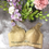 縮圖：B CUP活性絲柔棉 Push Up Bra