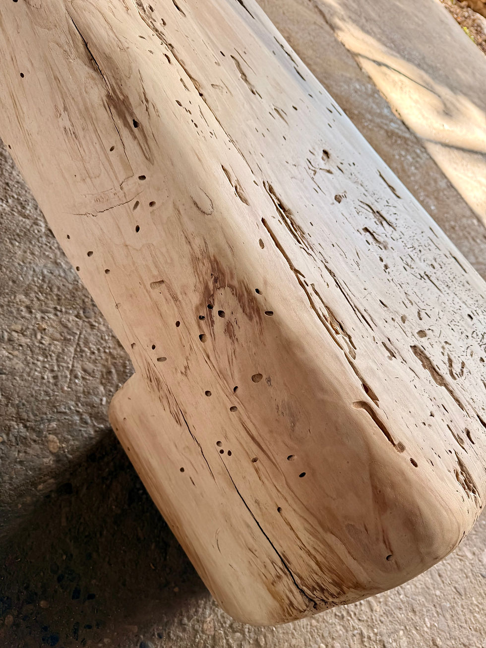 Miniatura: BOSC BESALÚ