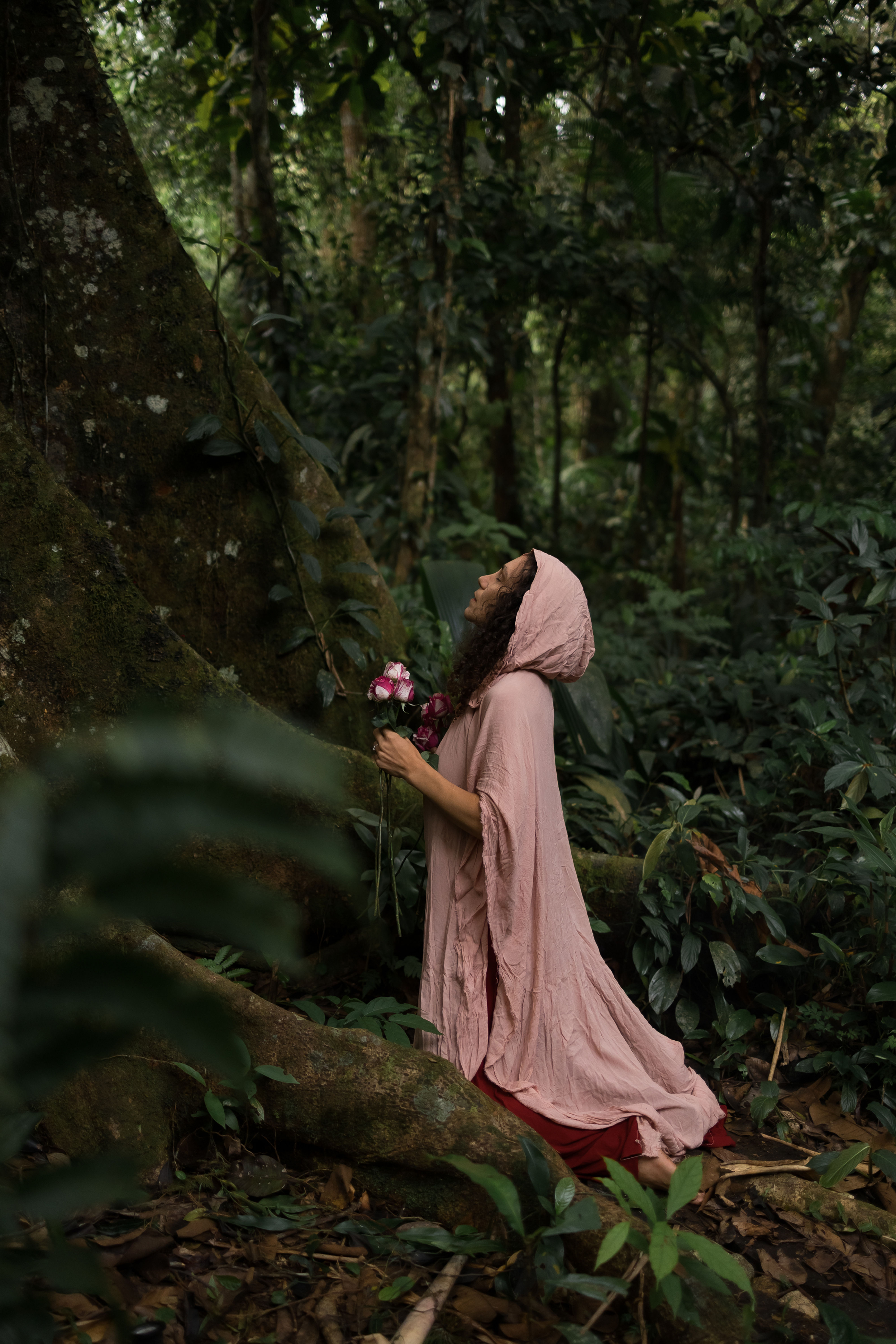 Rosa Mística - Oráculo do Feminino Solar