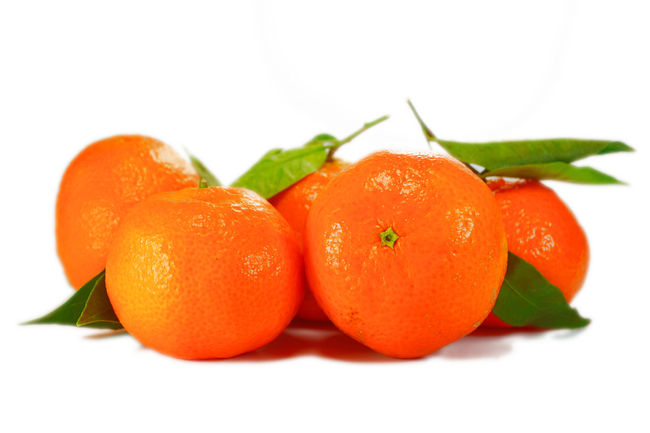 Nu mai cumparati mandarine! Plantati-le intr-un ghiveci!