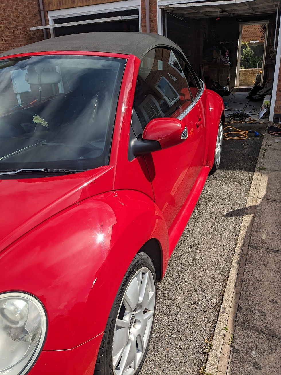 caitbeetlesofttop9.jpg