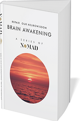 NOMAD BOOK MARKETING - Sleep optimisation