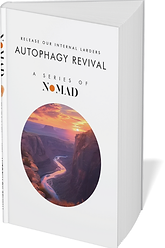 NOMAD BOOK MARKETING- Preventative health measures