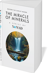NOMAD BOOK MARKETING - Performance boosting strategies