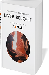 NOMAD BOOK MARKETING- Holistic health improvement