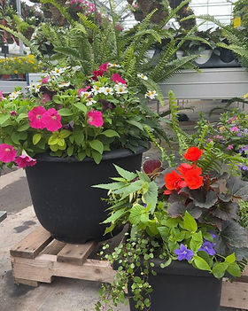 Ramsay Creek Summer Planters.jpg