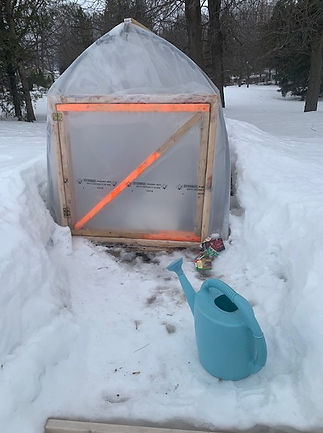 My cold frame.jpg