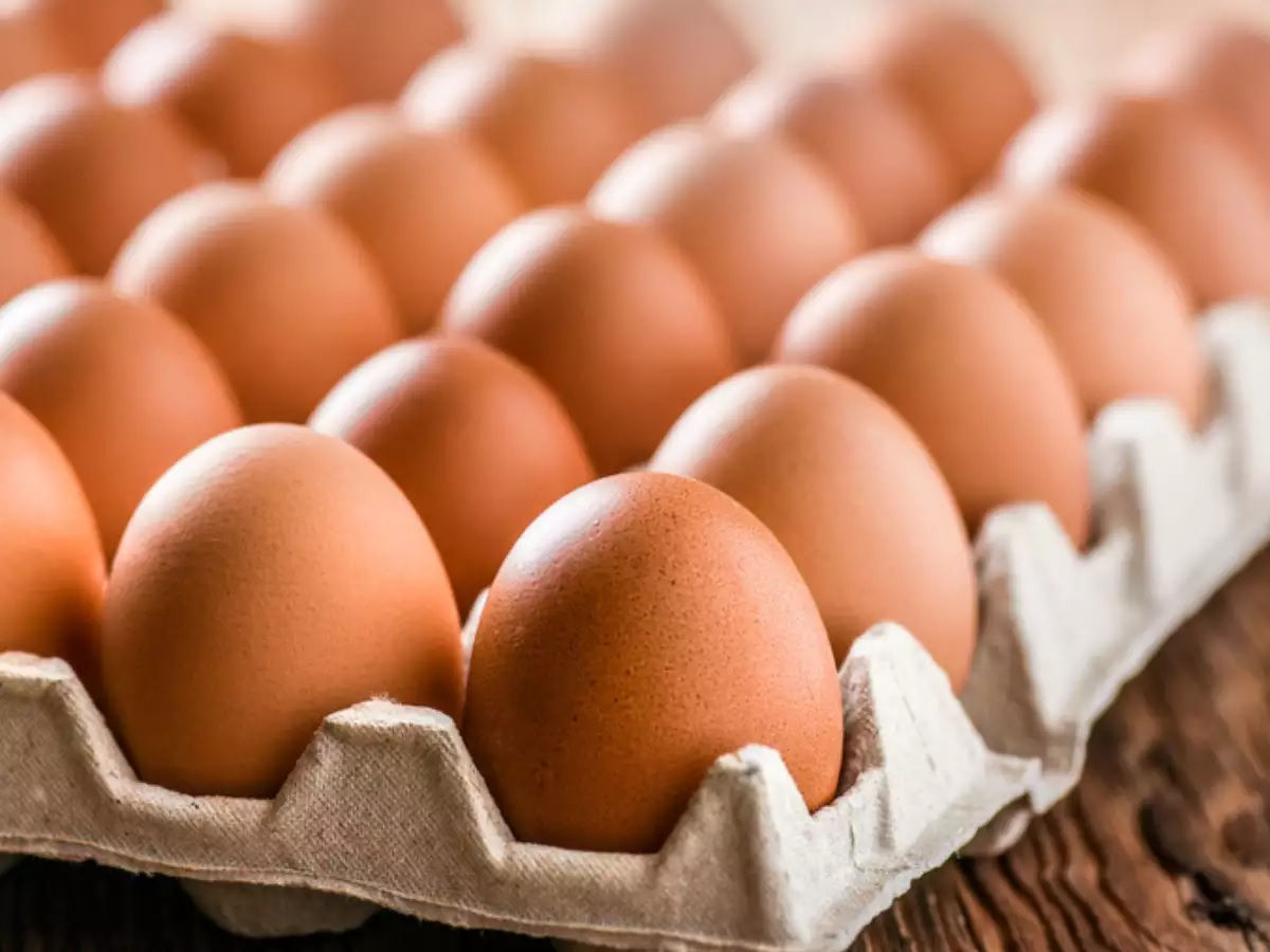 Organic Farm Fresh Large brown eggs (1 dozen)