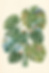 hf_20260330_194309_f99fe037-8f9f-4bb1-aa7d-35cca5c60ed1.png