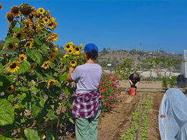 Volunteer with MAKE: Good for you - Good for the earth