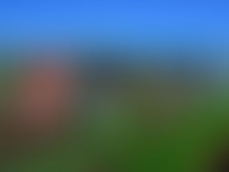 A Journey Completed: Zahida's Growth and Experience