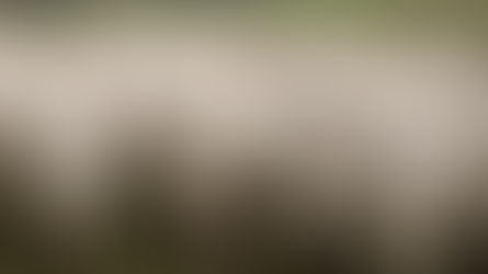 P&D: O desafio brasileiro