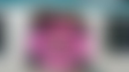 2° Torneo di Rugby "Mercatini di Natale" - Laives (BZ)