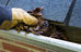Gutter cleaning season
