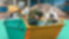 cws-skip-hire-company-waste-collections-and-movements-in-buckinghamshire-manchester-london