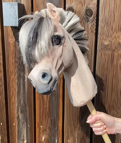 Realistic Fjord Hobby Horse with expressive eyes