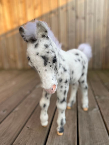 Handmade realistic pony foal with leopard Appaloosa markings in a curious standing pose on a wooden deck.