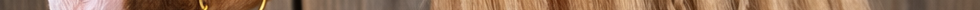 Chestnut hobby horse with soft plush coat, white blaze, and flowing blond mane